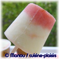 batonnet glace nectarine