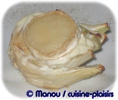 fenouil gratiné