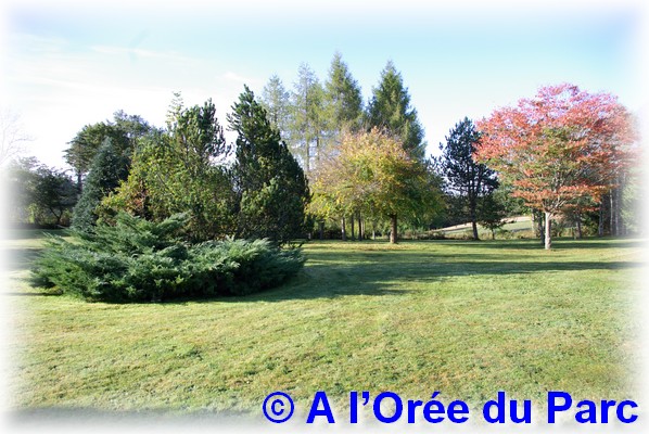 aloreeduparc2