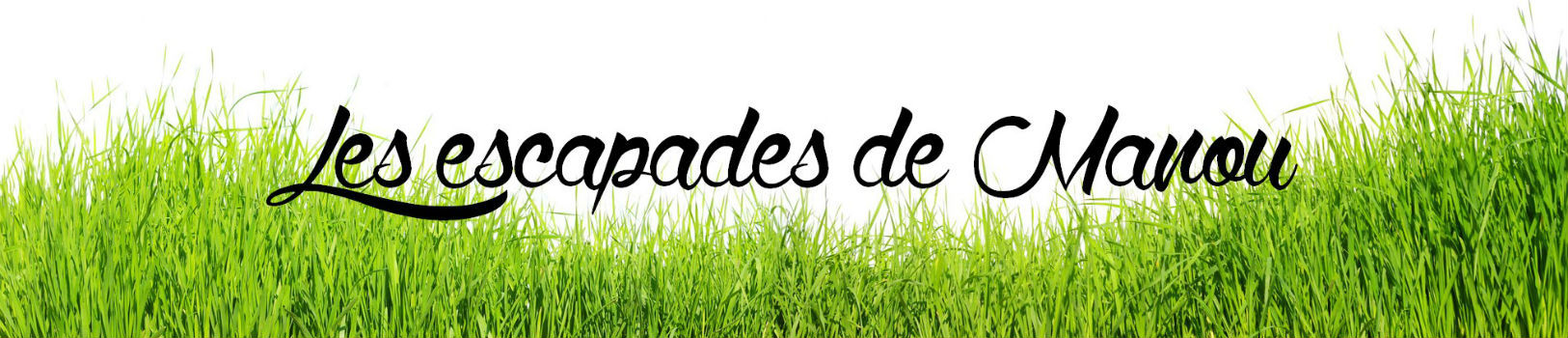 logo site escapades