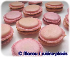 macarons framboise