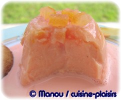 panacotta orange - mangue