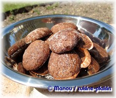 petits biscuits chocolatés