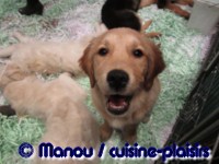Salon du chiot 02-2012