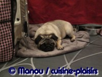 Salon du chiot 02-2012