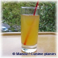 sirop menthe citron gingembre 01