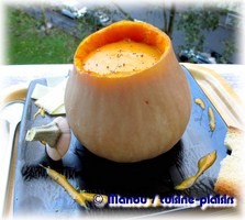 soupe butternut courge